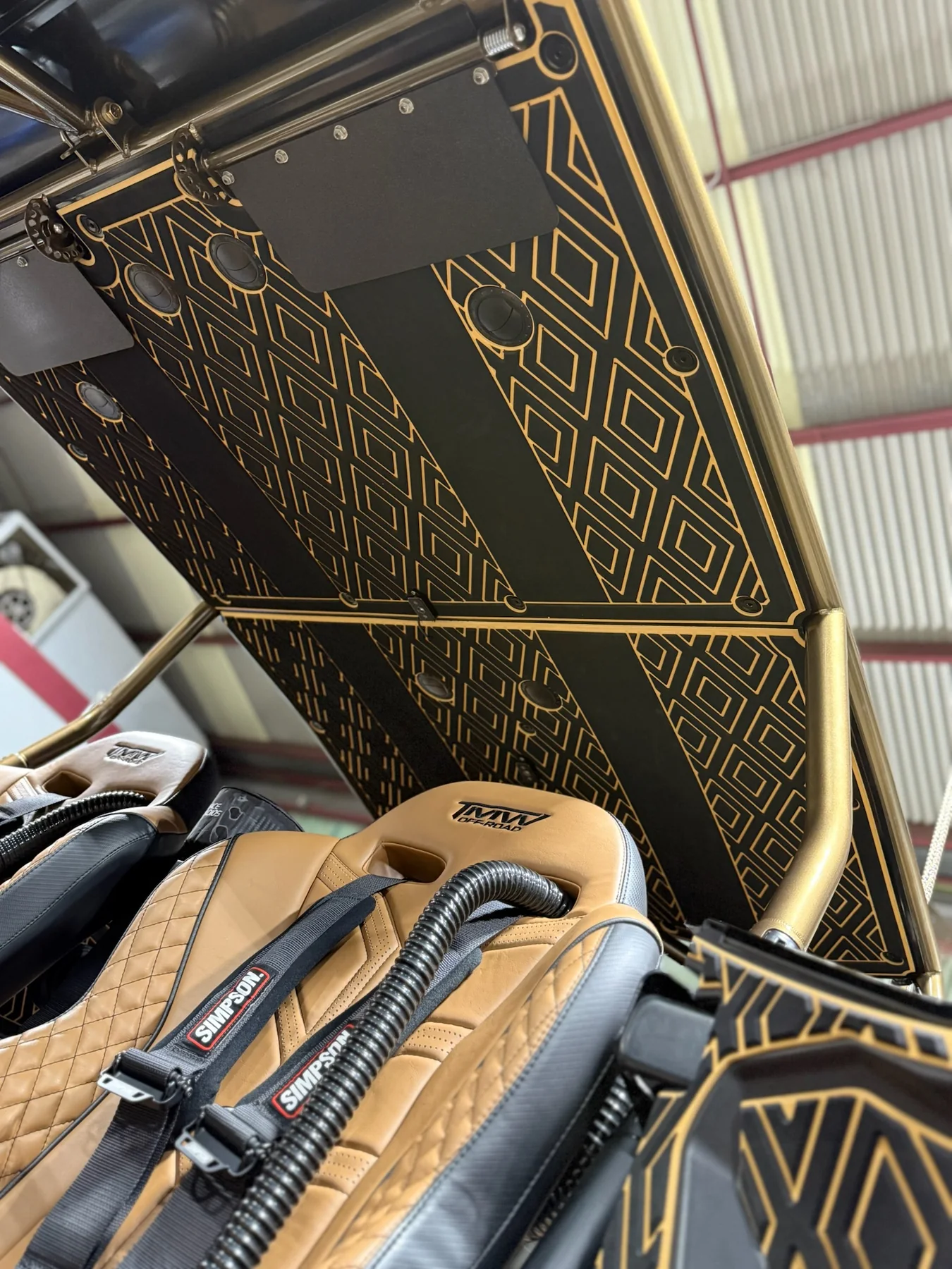 Polaris RZR Pro R custom black and gold EVA/PE foam roof liner interior kit